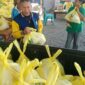 Rikardus Persli, Sekertaris DPD II Golkar Manggarai Timur. Sekaligus DPRD Dapi IV Fraksi Partai Golkar