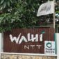 Foto : Papan Nama Sekretariat Walhi NTT (Sumber Doc. Media Walhi NTT)
‎