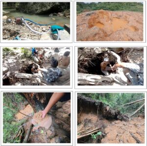 Potret Kerusakan Lingkungan di Kawasan Penyangga Taman Nasional Laiwangi Wanggameti. Foto:(Koalisi masyarakat sipil).