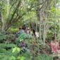 Warga Dusun Oekofu bersama siswa SMAK St. Agustinus Raimanuk dan Babinsa Desa Renrua saat melakukan gotong royong perbaikan jalur pipa air bersih di lokasi sumber mata air.Foto:Dok.Deni Manek/