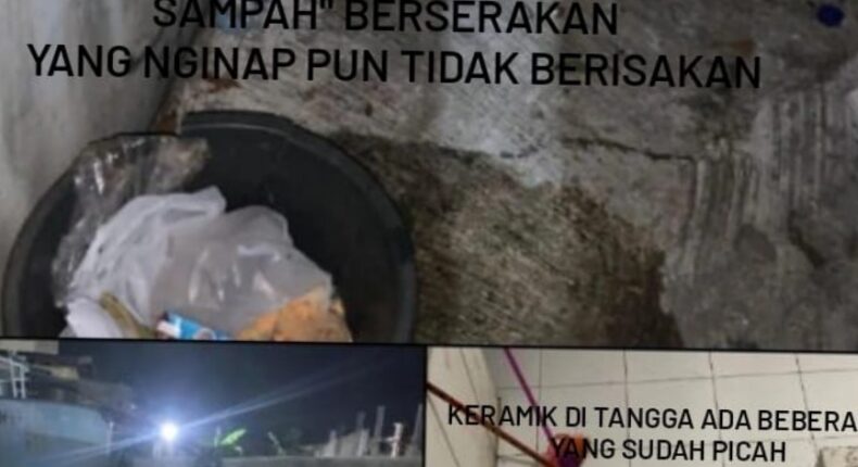 foto slider headline